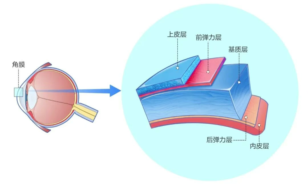 图片.png 图片.png